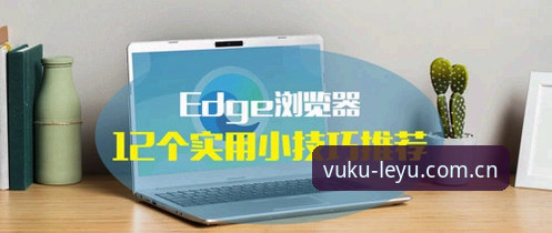 实战派心得：乐鱼体育新版标识如何让观赛效率翻倍